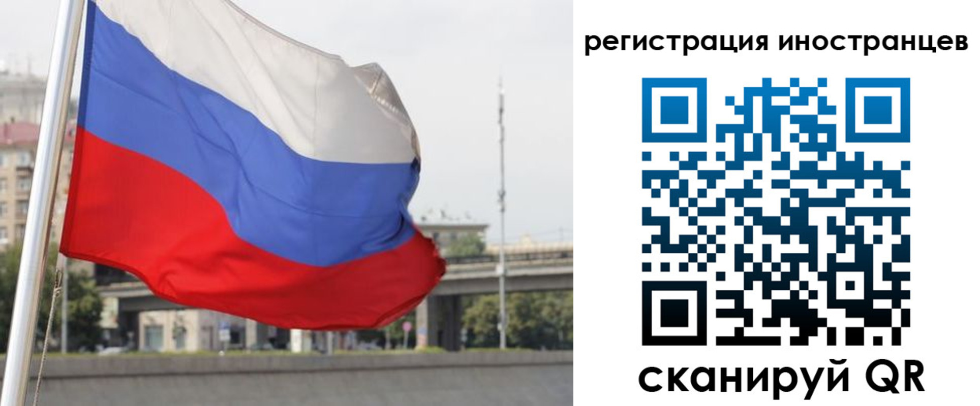 прописка поиск в Ярославле